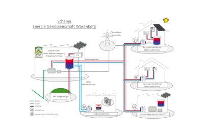 wasenberg schema